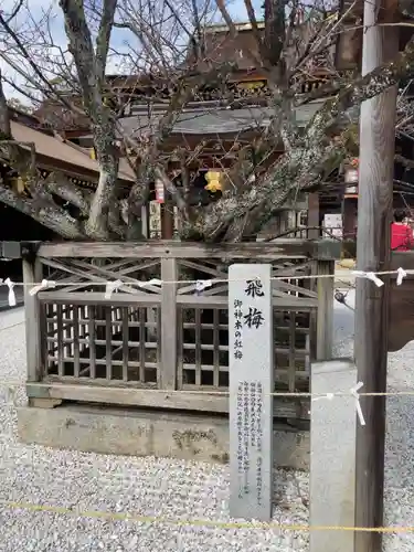 北野天満宮の庭園