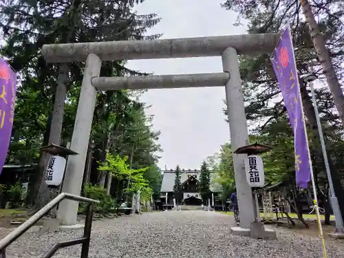 上川神社の鳥居