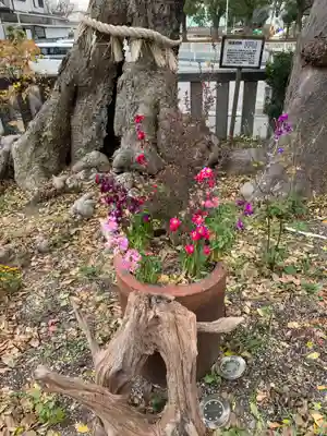 水堂須佐男神社(兵庫県)