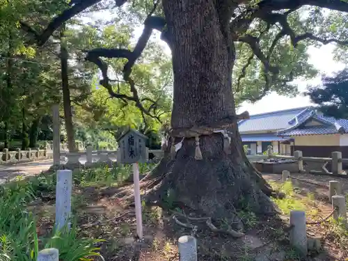 白峰宮(香川県)