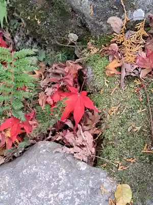 日吉大社(滋賀県)