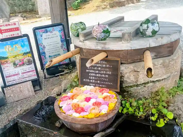 深大寺(東京都)
