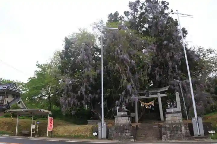 春日神社の鳥居