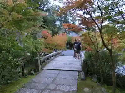 禅林寺(永観堂)(京都府)