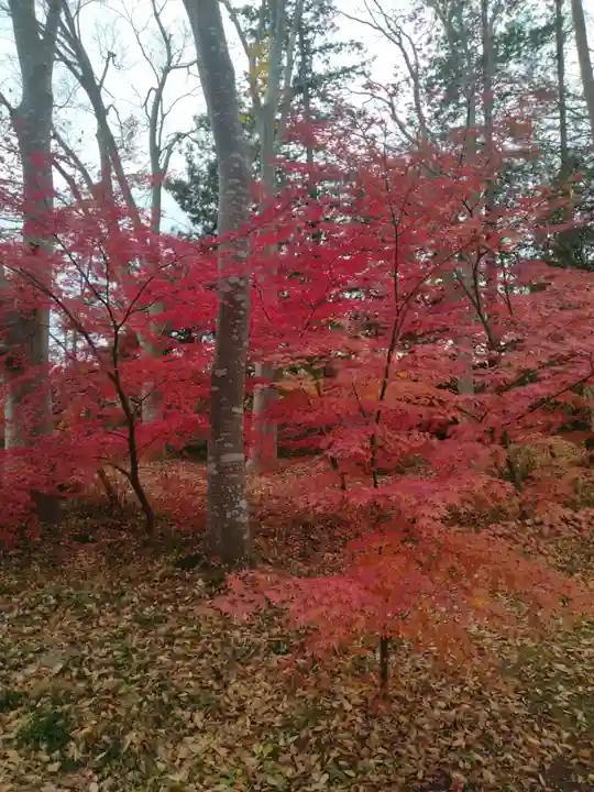 高音寺(宮城県)