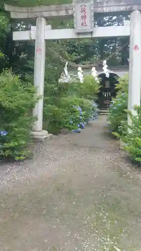 子鍬倉神社の鳥居