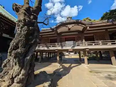 妙法寺(東京都)