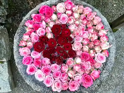 丹生都比売神社(和歌山県)