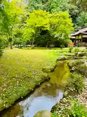 賀茂別雷神社（上賀茂神社）(京都府)