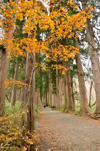 戸隠神社奥社の周辺