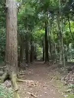 白幡神社(千葉県)
