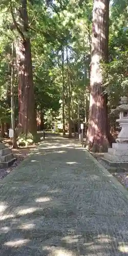 若狭彦神社（上社）の建物その他