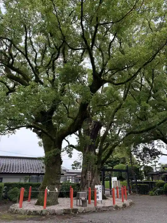美奈宜神社(福岡県)