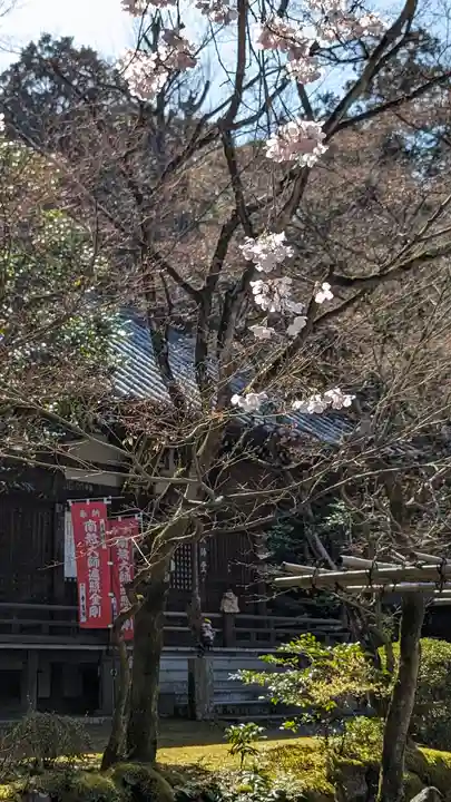 今熊野観音寺(京都府)