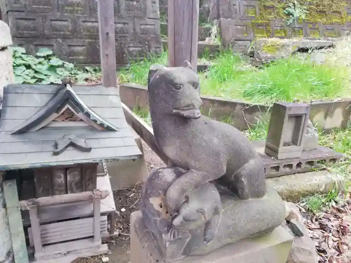 杉山社(帷子町杉山社・久保杉山神社)の狛犬