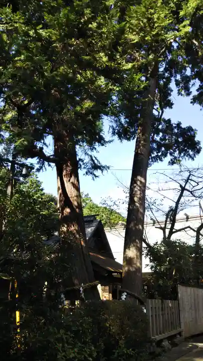 鎌田神明宮の自然