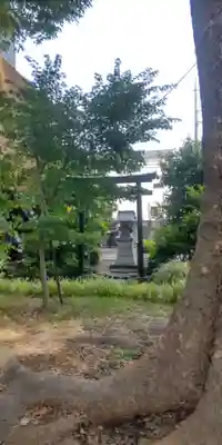 氷川神社(埼玉県)