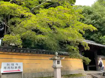 秋篠寺(奈良県)