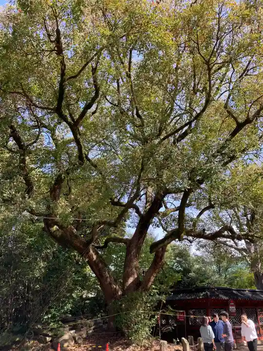 根津神社(東京都)
