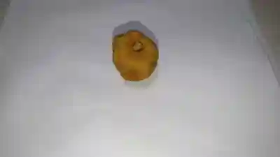 白山神社（木曽川町黒田）の授与品その他