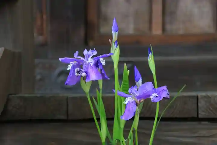 阿邪訶根神社の授与品その他