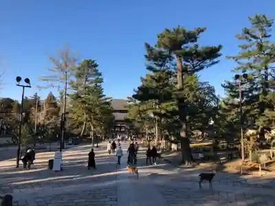 東大寺の{uncategorized: "未分類", other: "その他", undefined: "問題あり", building: "その他建物", grave: "お墓", sacred_gate: "鳥居", guardian: "狛犬", statue: "像", buddha: "仏像", history: "歴史", nature: "自然", garden: "庭園", animal: "動物", pagoda: "塔", temizu: "手水舎", mountain_gate: "山門・神門", sanctuary: "本殿・本堂", subordinate: "末社・摂社", art: "芸術", scenery: "景色", jizo: "地蔵", ema: "絵馬", goshuin: "御朱印", omikuji: "おみくじ", items: "授与品その他", amulet: "お守り", goshuincho: "御朱印帳", eats: "食事", festival: "お祭り", votive_dance: "神楽", shichigosan: "七五三参", wedding: "結婚式", experience: "体験その他", initially: "初詣", around: "周辺", anti_infection: "感染症対策"}