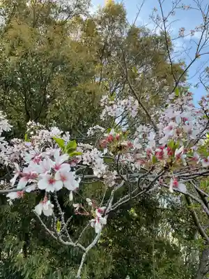 願成寺(愛知県)