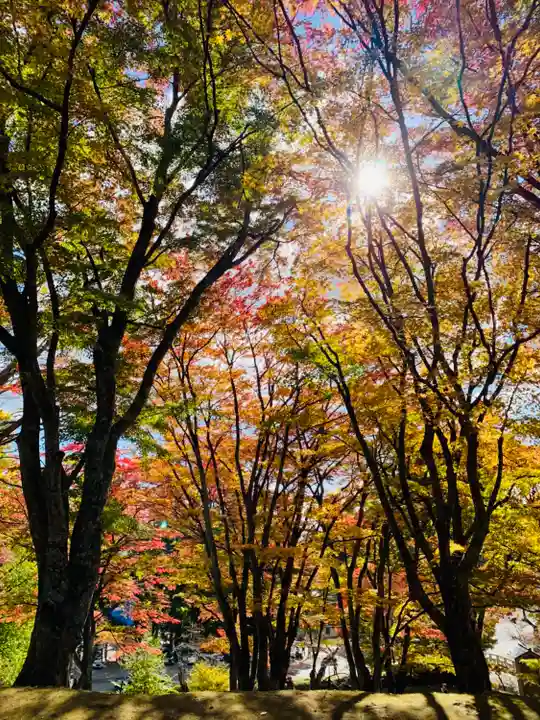 土津神社|こどもと出世の神さまの自然