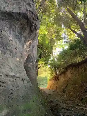 六所神社(千葉県)