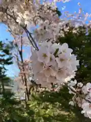 烈々布神社の自然