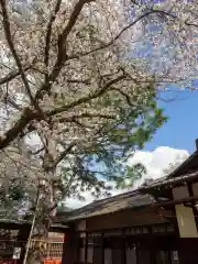 前原御嶽神社の自然