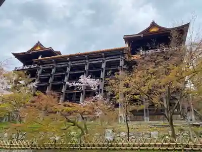 清水寺の本殿・本堂