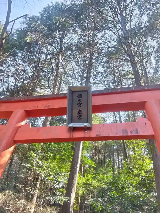 大縣神社(愛知県)