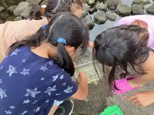 蓮久寺(千葉県)