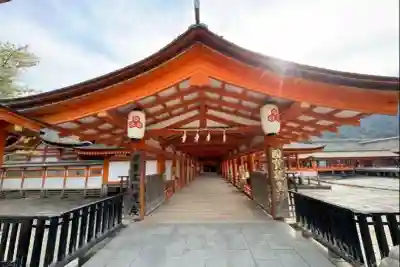 厳島神社の{uncategorized: "未分類", other: "その他", undefined: "問題あり", building: "その他建物", grave: "お墓", sacred_gate: "鳥居", guardian: "狛犬", statue: "像", buddha: "仏像", history: "歴史", nature: "自然", garden: "庭園", animal: "動物", pagoda: "塔", temizu: "手水舎", mountain_gate: "山門・神門", sanctuary: "本殿・本堂", subordinate: "末社・摂社", art: "芸術", scenery: "景色", jizo: "地蔵", ema: "絵馬", goshuin: "御朱印", omikuji: "おみくじ", items: "授与品その他", amulet: "お守り", goshuincho: "御朱印帳", eats: "食事", festival: "お祭り", votive_dance: "神楽", shichigosan: "七五三参", wedding: "結婚式", experience: "体験その他", initially: "初詣", around: "周辺", anti_infection: "感染症対策"}