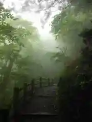 玉置神社の自然