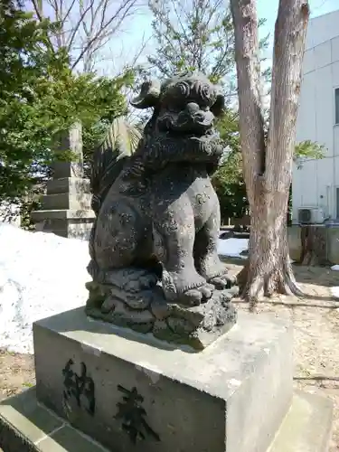 新琴似神社の狛犬