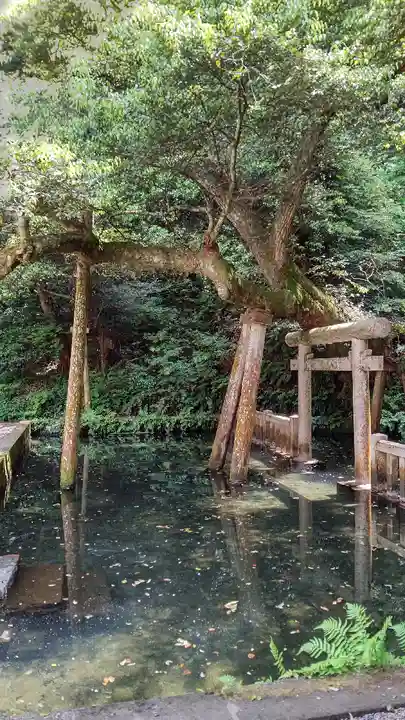 鹿島神宮(茨城県)