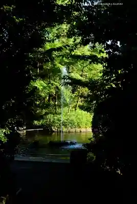 寒川神社(神奈川県)