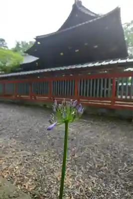 玉前神社(千葉県)