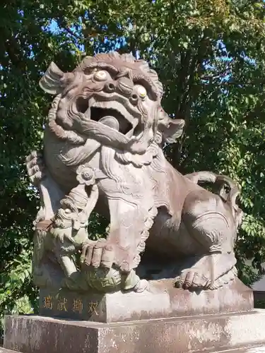 赤城久伊豆神社の狛犬