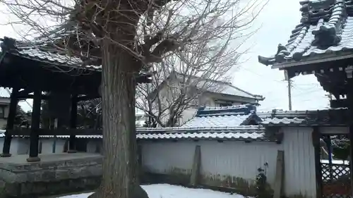 長善寺(愛知県)