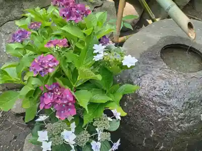 阿部野神社(大阪府)