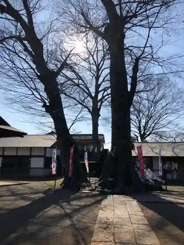 八枝神社の自然