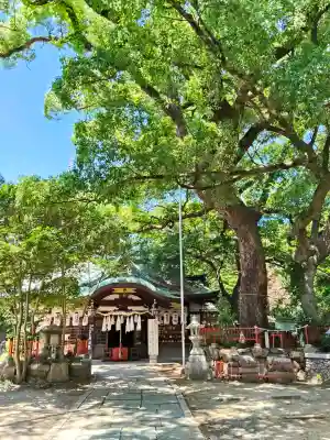 松原神社(兵庫県)