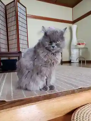 清徳寺(東京都)