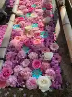 津島神社の手水舎