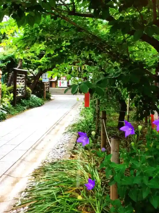 鳩森八幡神社の庭園