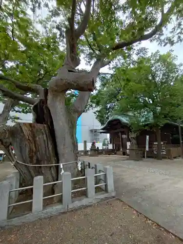 阿邪訶根神社(福島県)