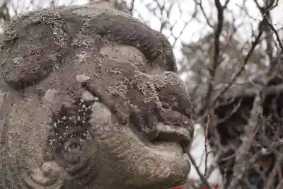 岡崎天満宮の狛犬